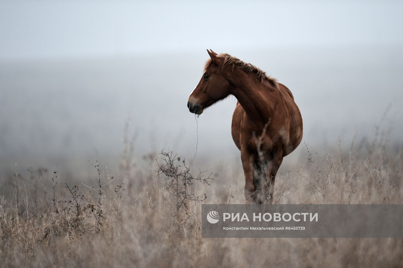 Регионы России. Крым