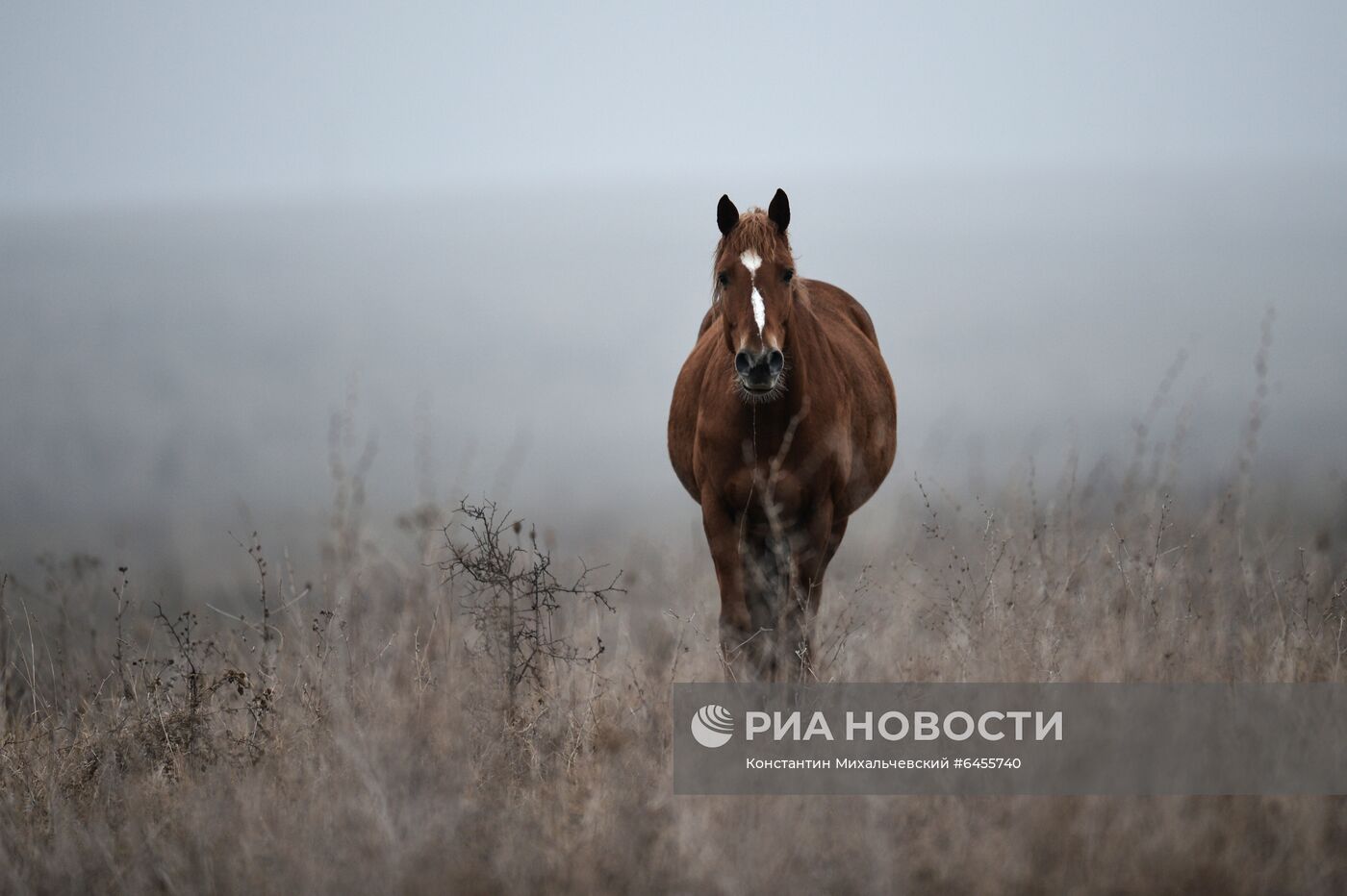 Регионы России. Крым