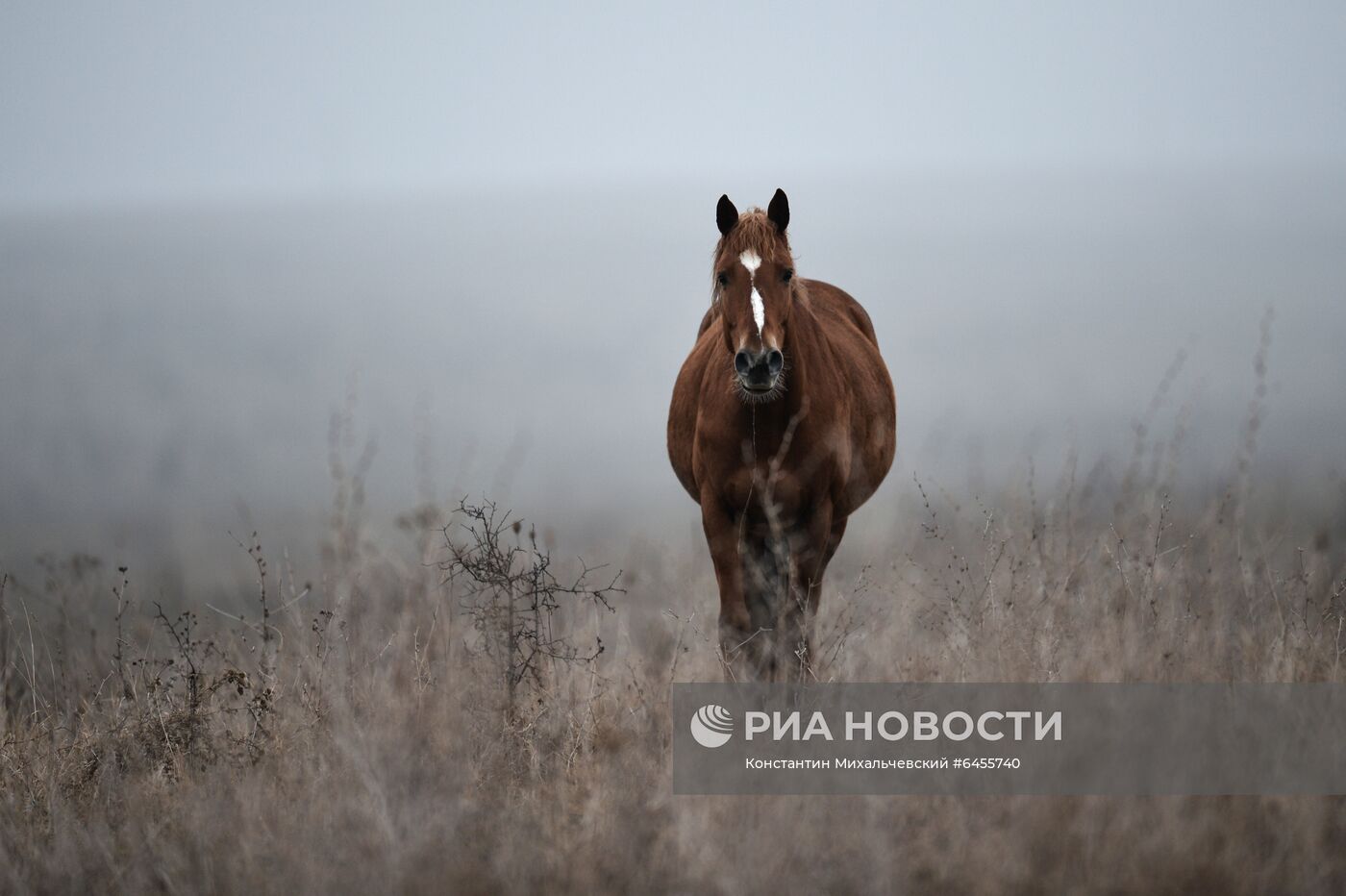 Регионы России. Крым