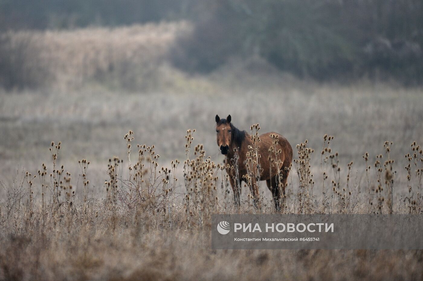 Регионы России. Крым