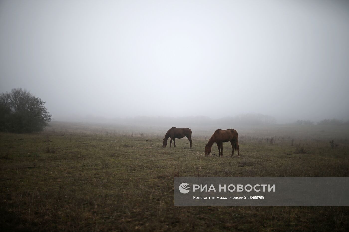 Регионы России. Крым