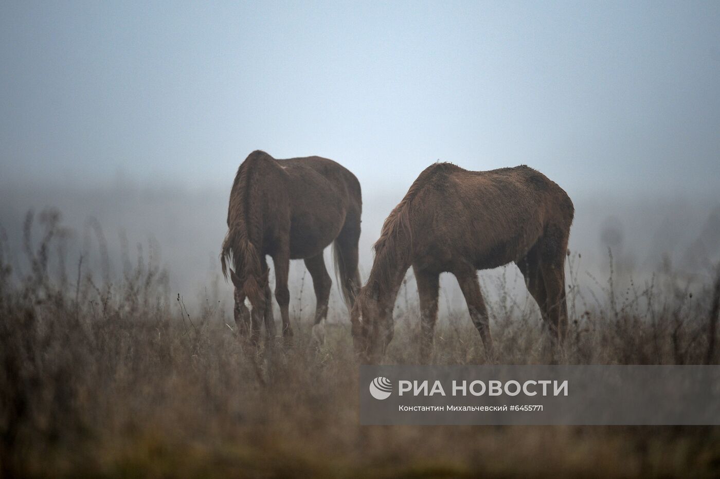 Регионы России. Крым