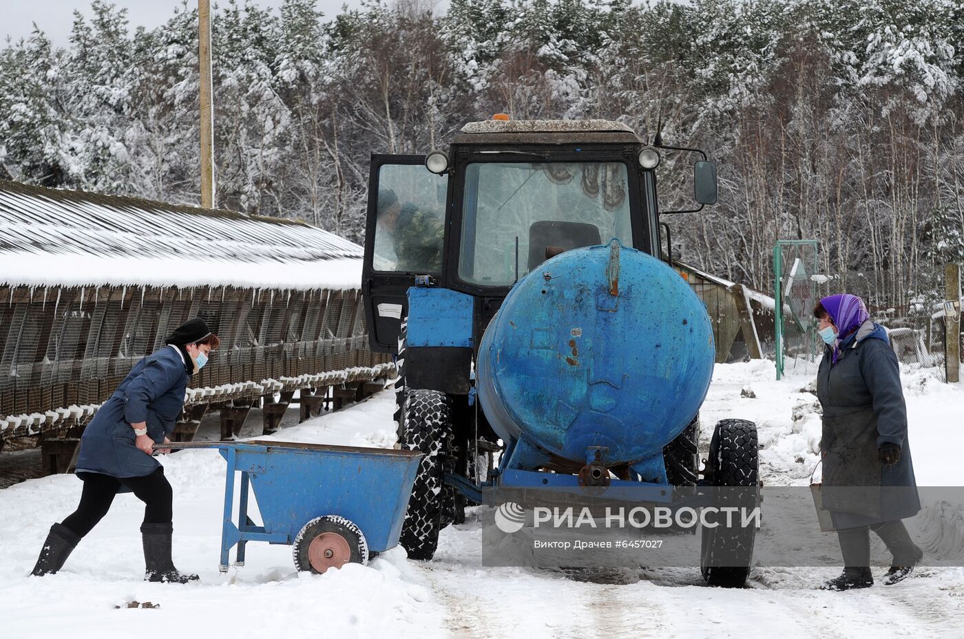 Выращивание норок на звероферме в Белоруссии