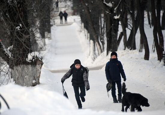Морозы в Центральной России