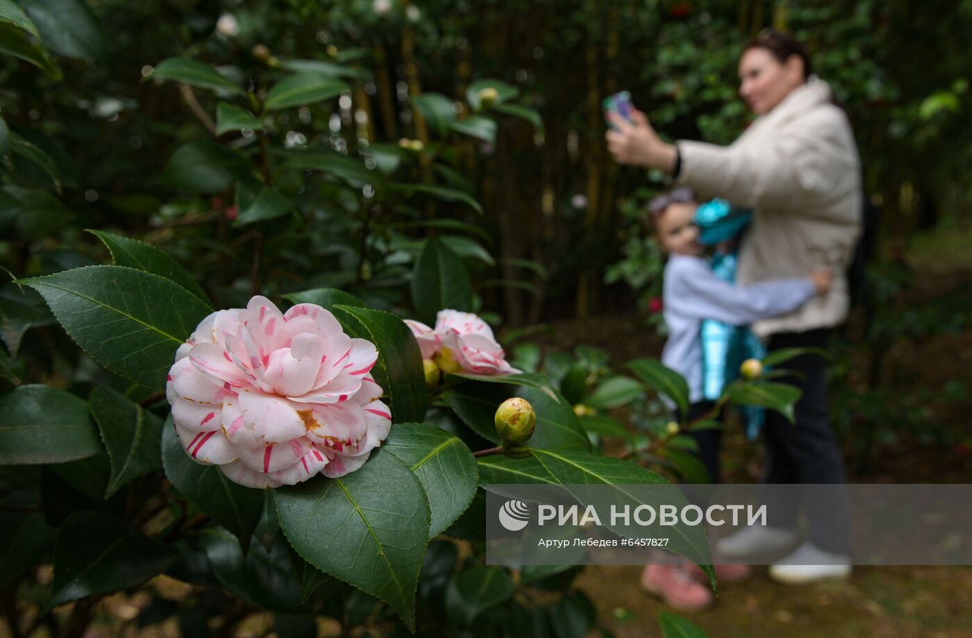 Ранняя весна в Сочи