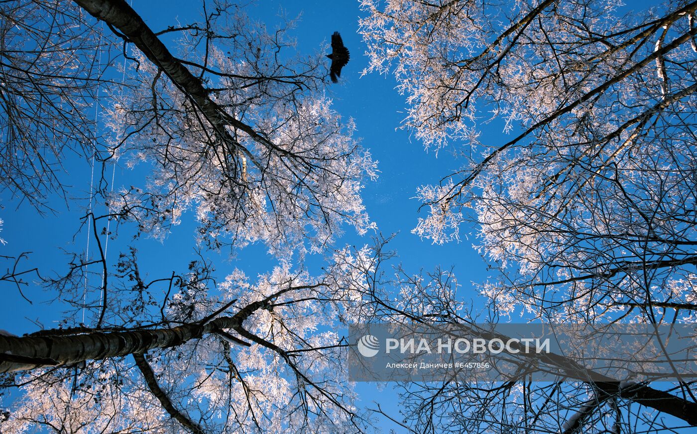 Зима в спальных районах Санкт-Петербурга