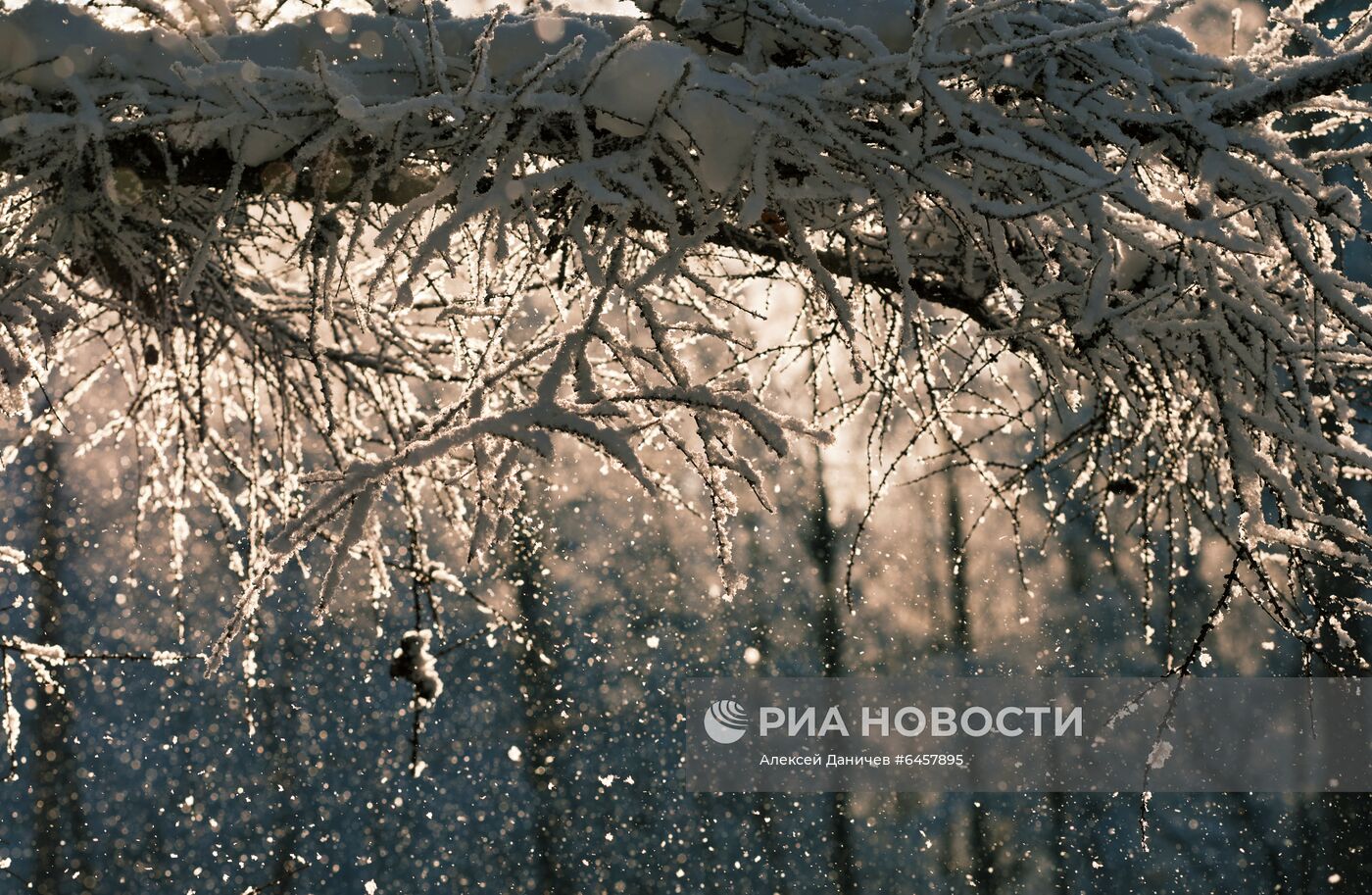 Зима в спальных районах Санкт-Петербурга