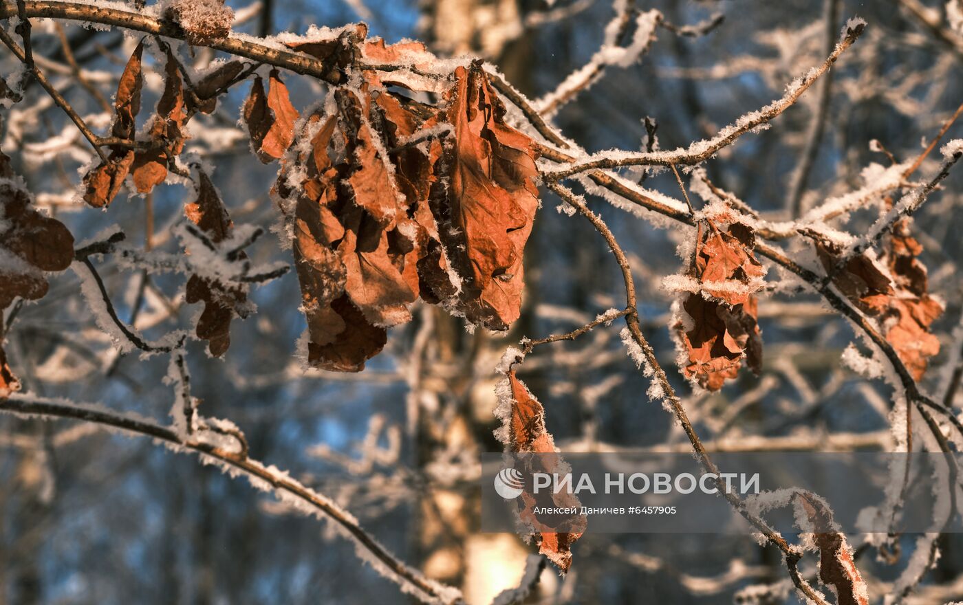 Зима в спальных районах Санкт-Петербурга