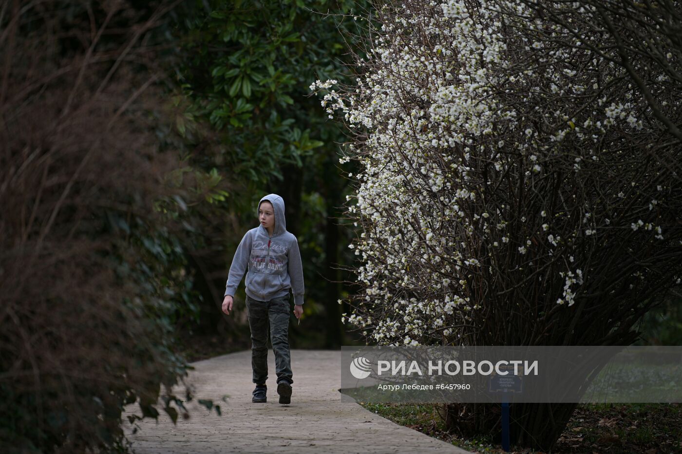 Ранняя весна в Сочи