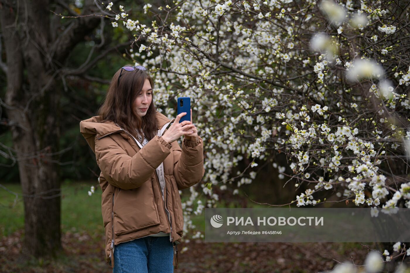 Ранняя весна в Сочи