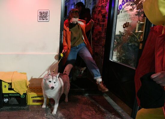 Пиво для собак появилось в барах Москвы