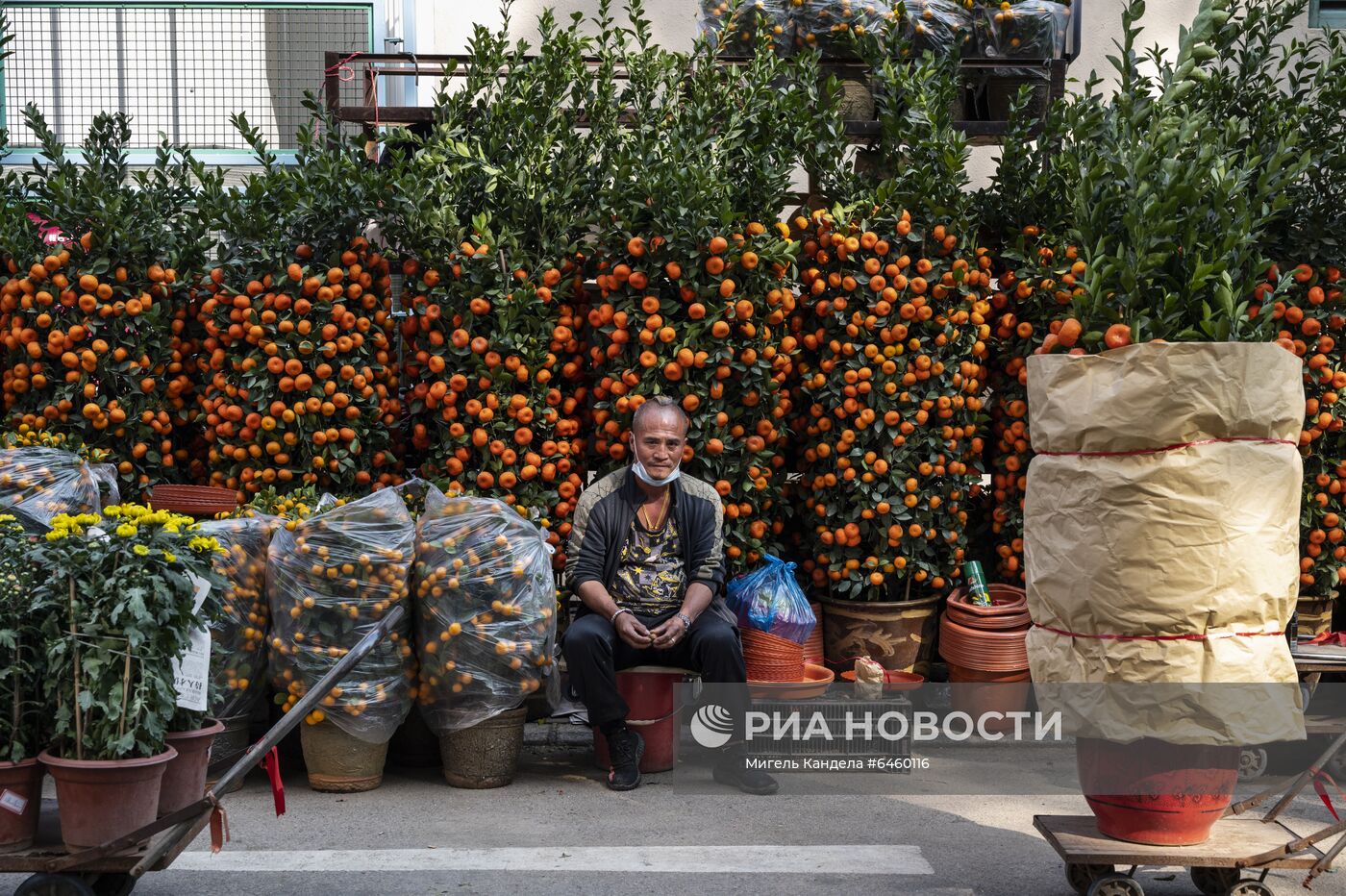 Празднование Нового года в странах Юго-Восточной Азии