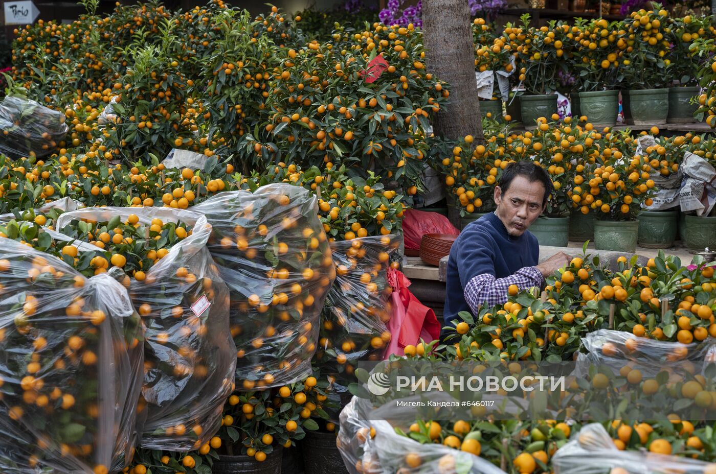 Празднование Нового года в странах Юго-Восточной Азии