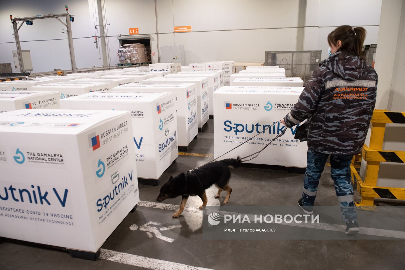 Доставка вакцины Sputnik V на склад в грузовой терминал "Москва Карго"
