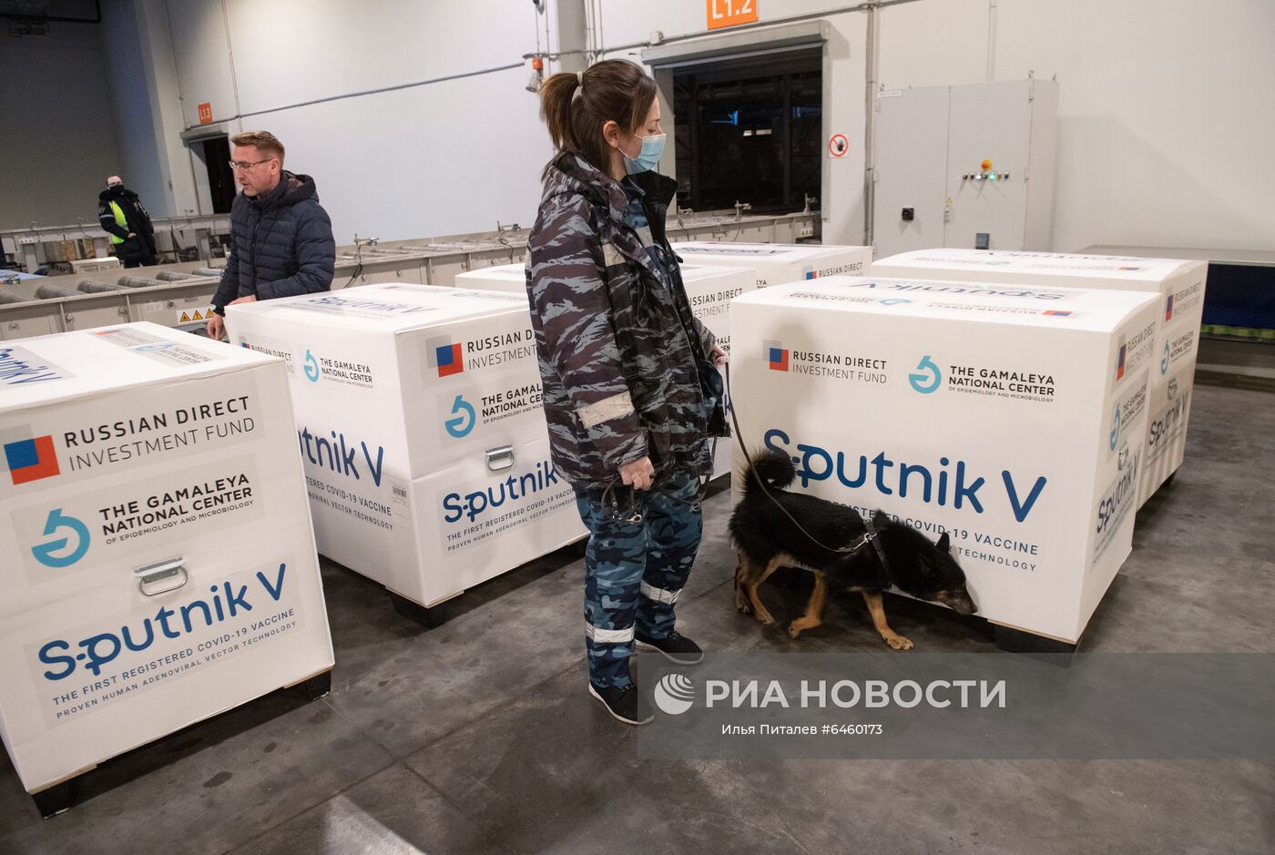 Доставка вакцины Sputnik V на склад в грузовой терминал "Москва Карго"