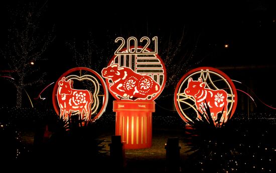 Празднование Нового года в странах Юго-Восточной Азии