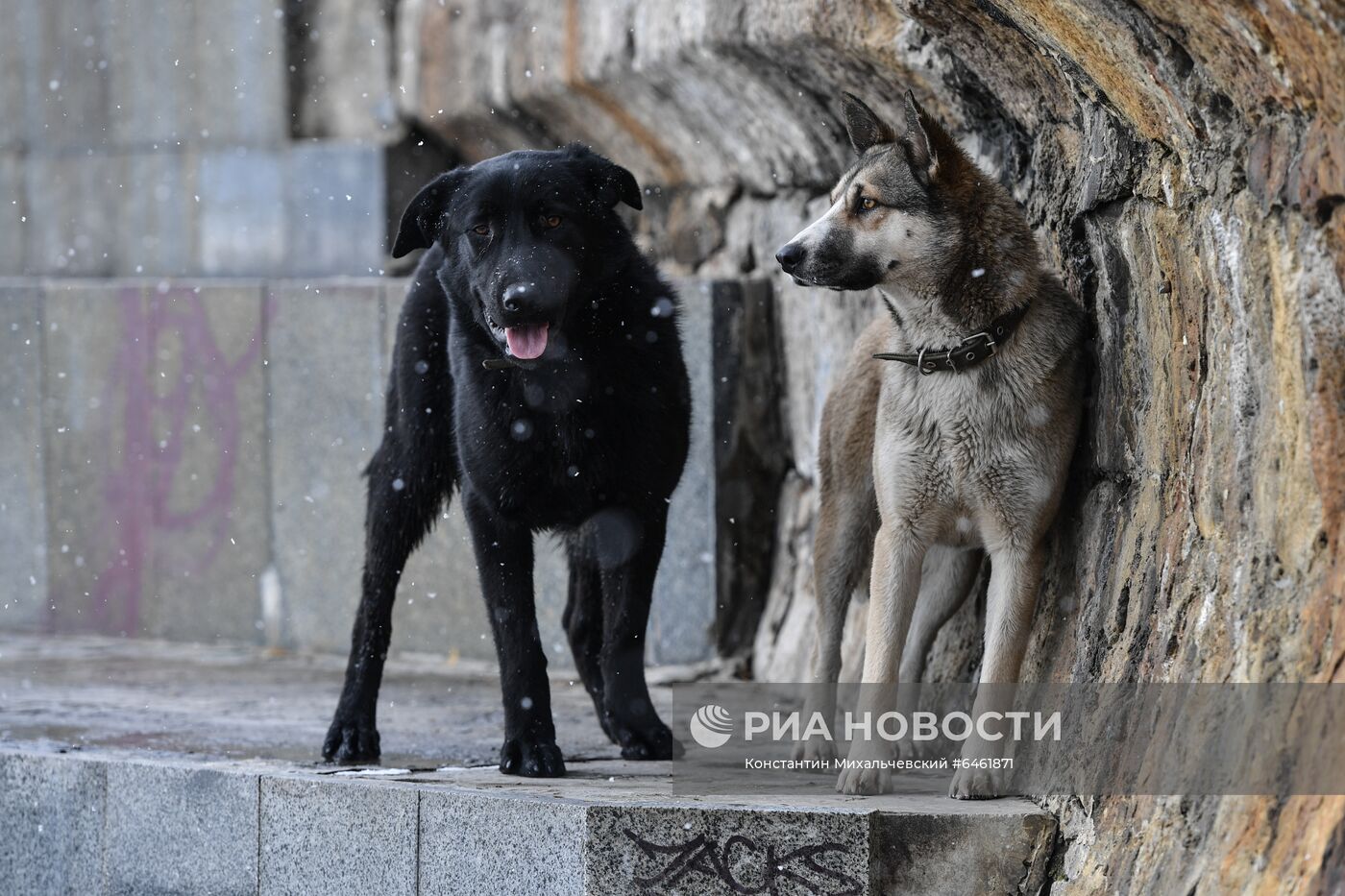 Сильный снегопад в Крыму