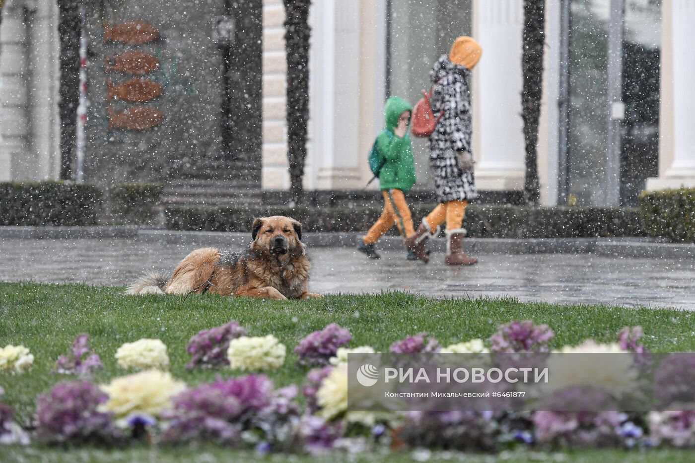 Сильный снегопад в Крыму