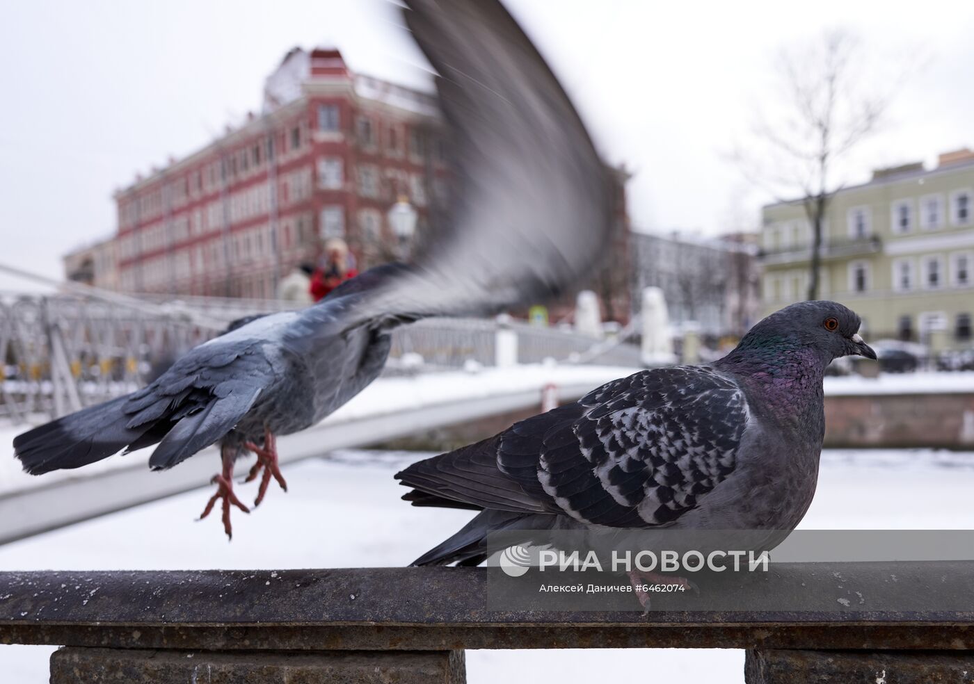 Зима в Санкт-Петербурге