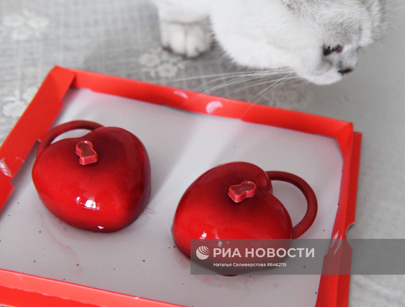 Празднование Дня всех влюбленных в Москве