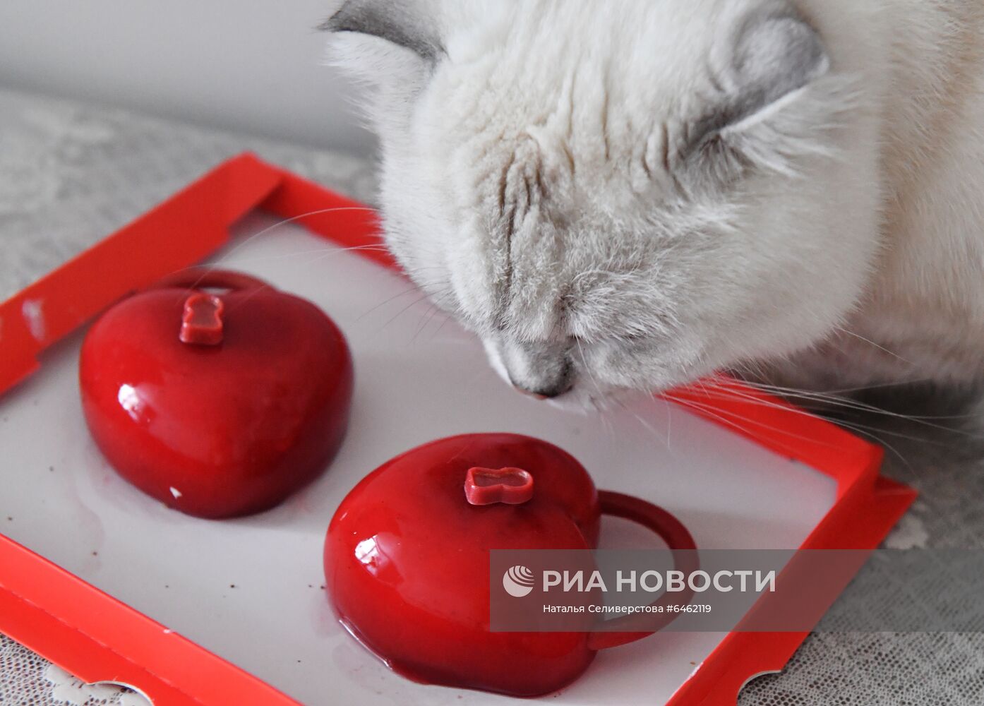 Празднование Дня всех влюбленных в Москве