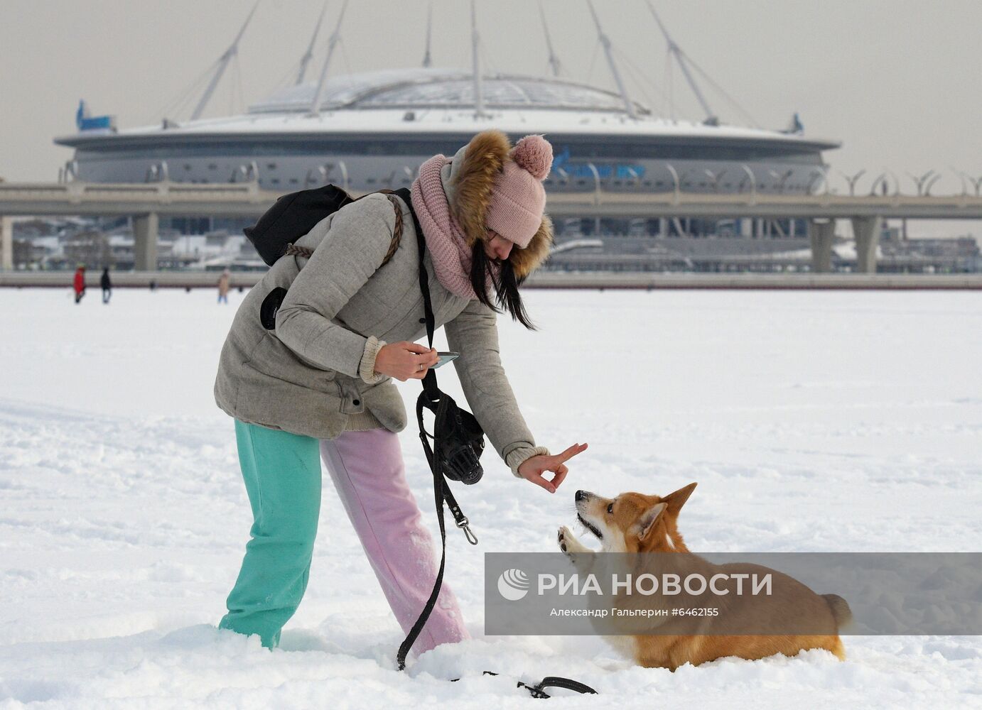 Участники костюмированного парада корги по случаю Дня всех влюбленных в Санкт-Петербурге. Место: Россия, Санкт-Петербург. Автор: Александр Гальперин/РИА Новости. Костюмированный парад корги по случаю Дня всех влюбленных