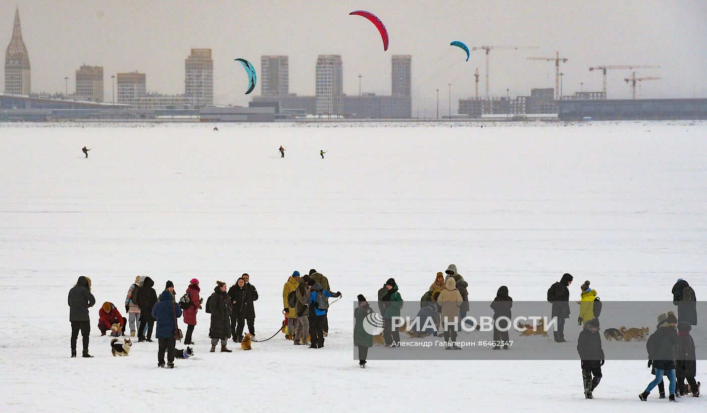 Костюмированный парад корги по случаю Дня всех влюбленных