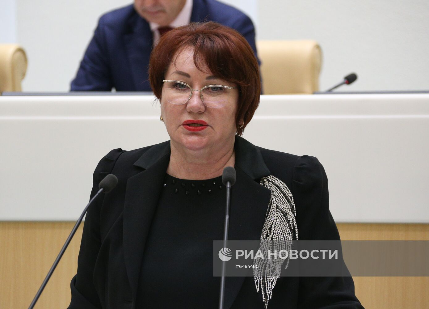 Заседание Совета Федерации РФ