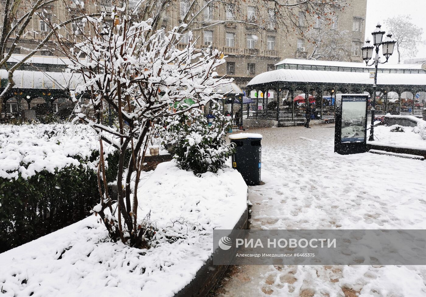 Последствия снегопада в Тбилиси