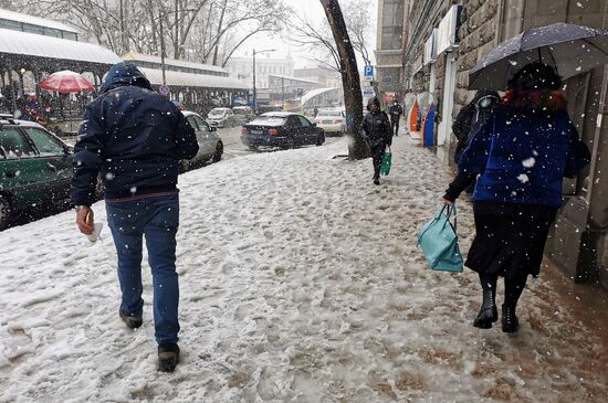 Последствия снегопада в Тбилиси