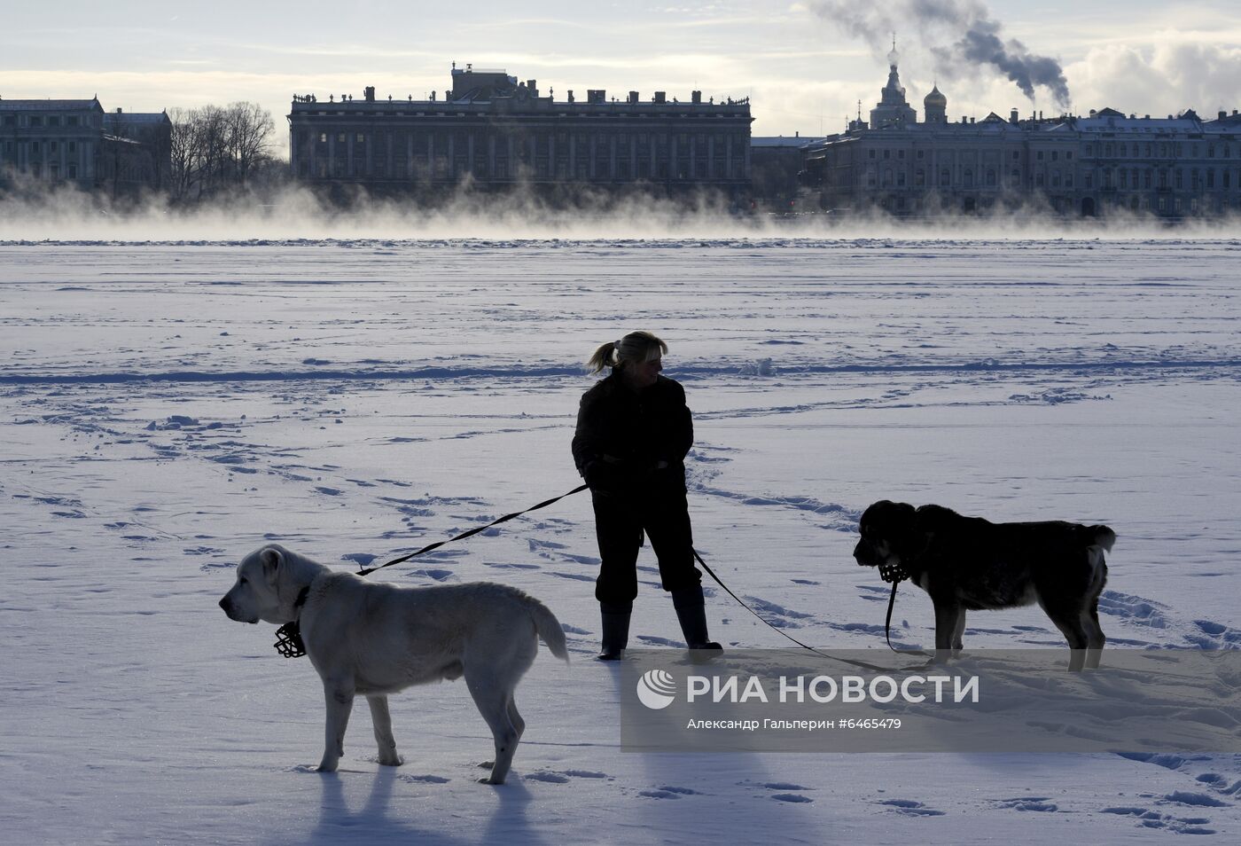Пар над Невой из-за мороза в Санкт-Петербурге