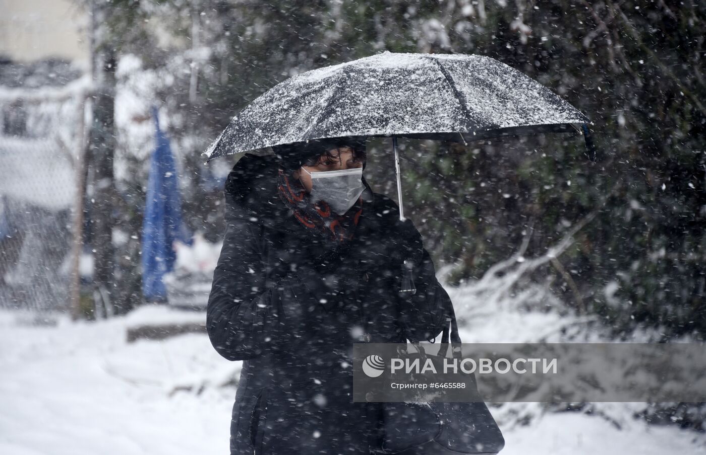 Последствия снегопада в Тбилиси