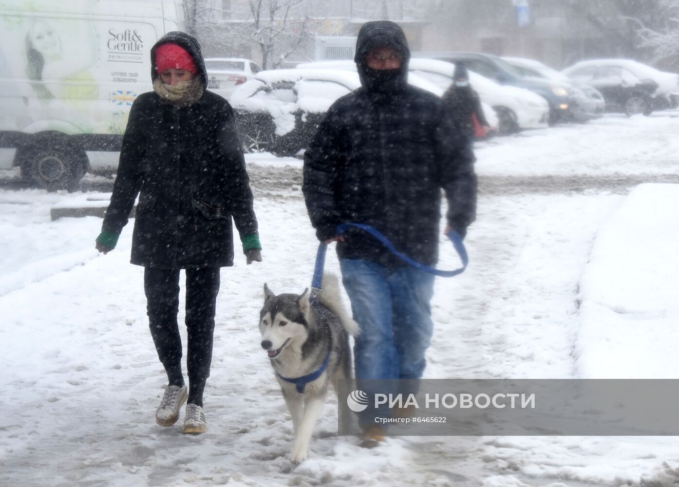 Последствия снегопада в Тбилиси