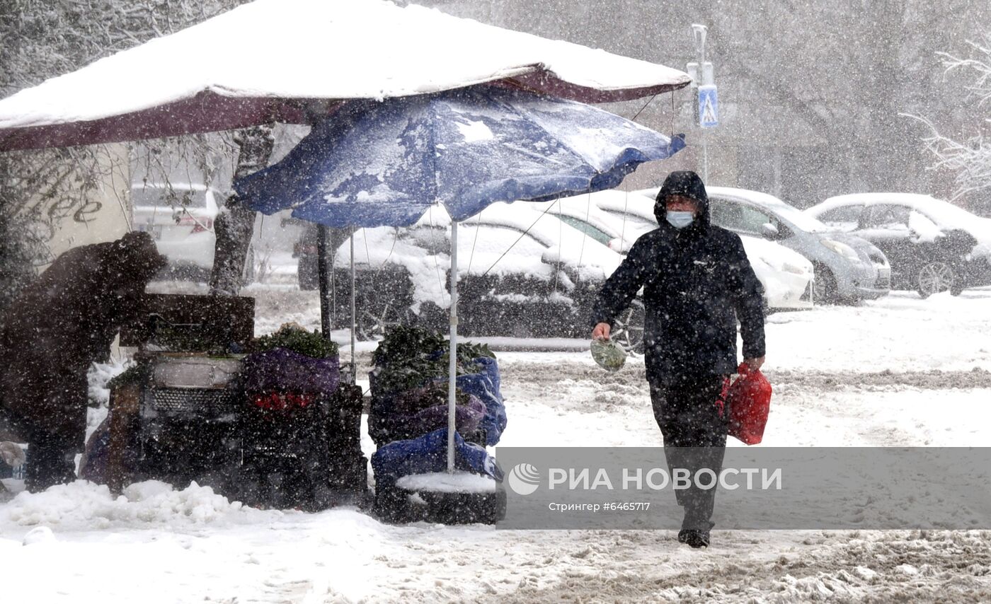 Последствия снегопада в Тбилиси