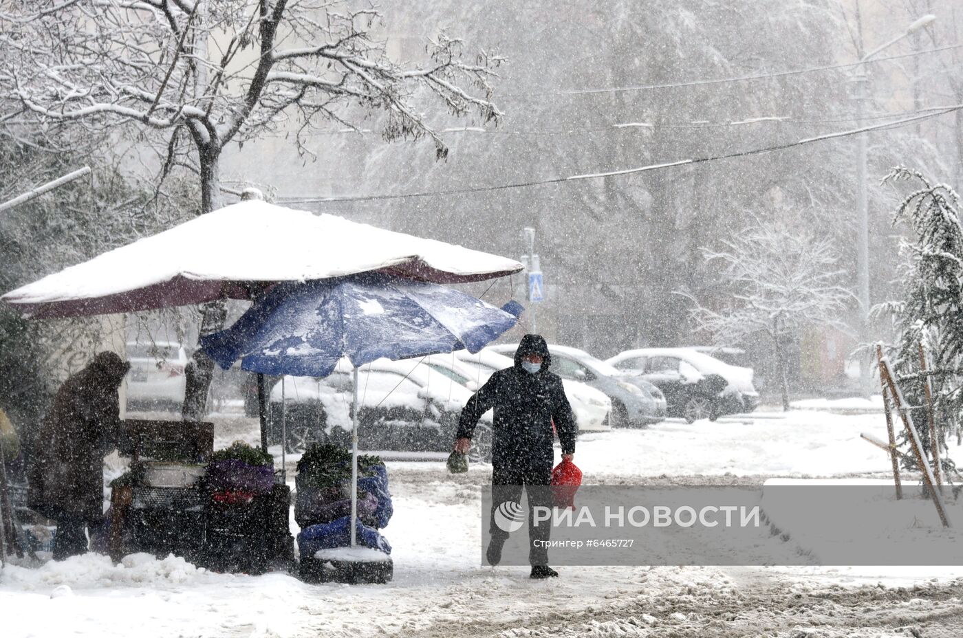 Последствия снегопада в Тбилиси