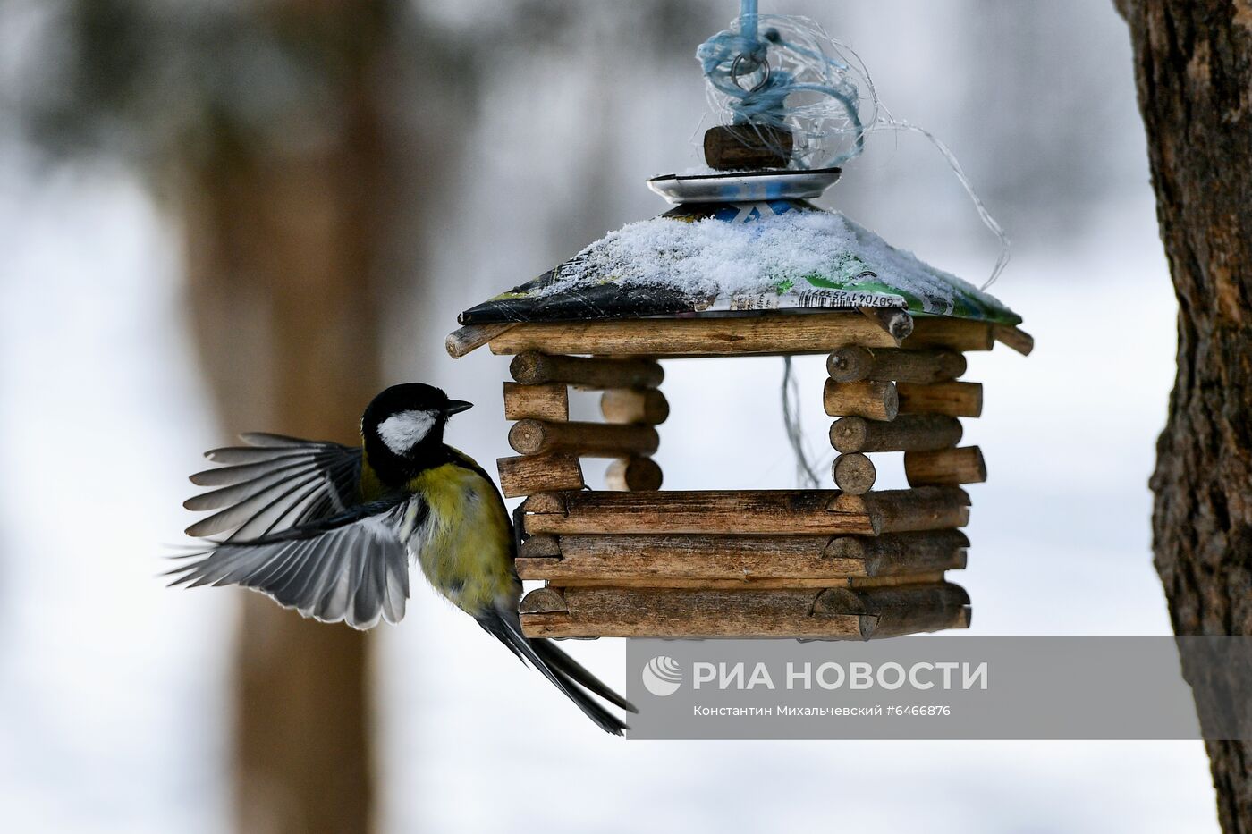 ФОТО МЕСЯЦА