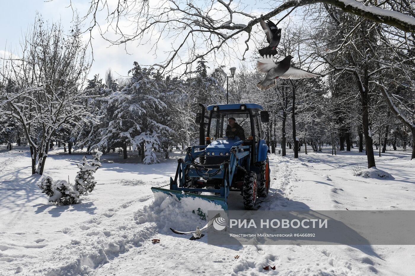 Снег в Крыму