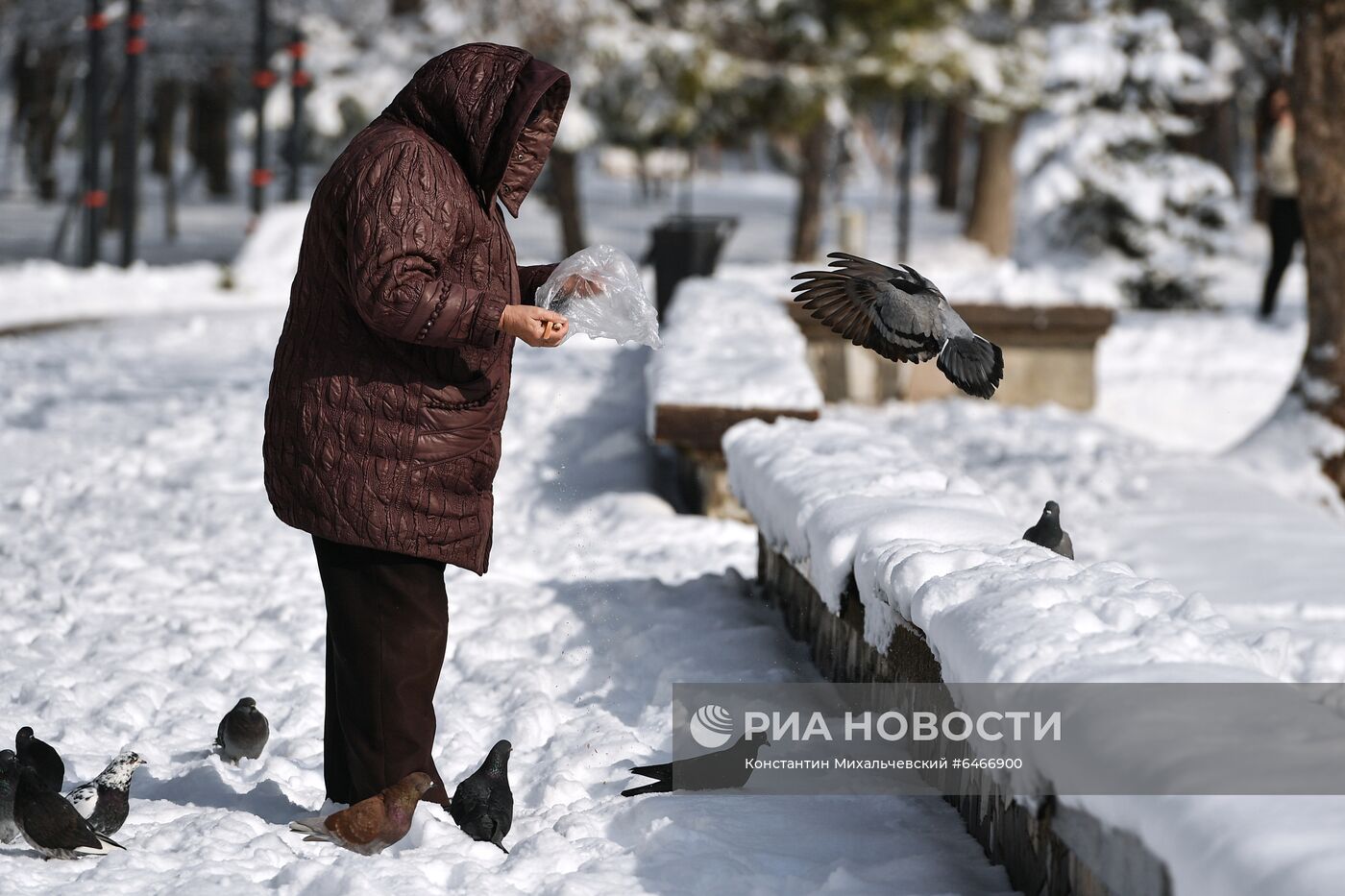 Снег в Крыму