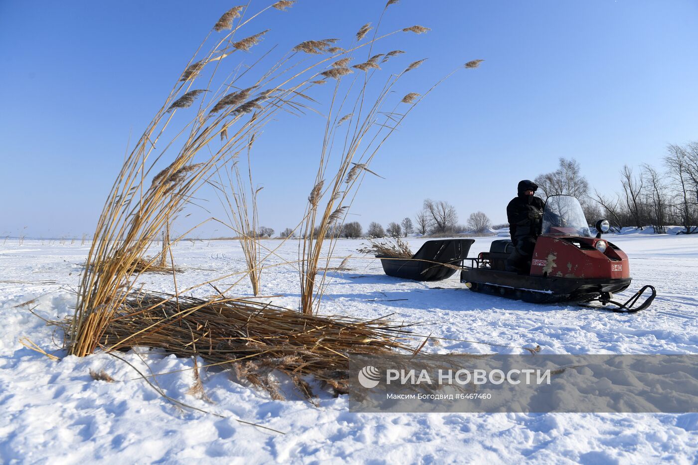 Мероприятия по предотвращению зимнего замора рыбы