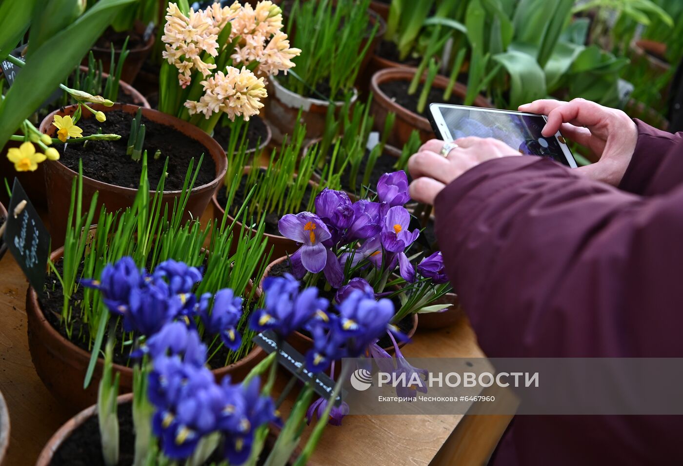 Открытие VII ежегодной выставки "Репетиция весны"