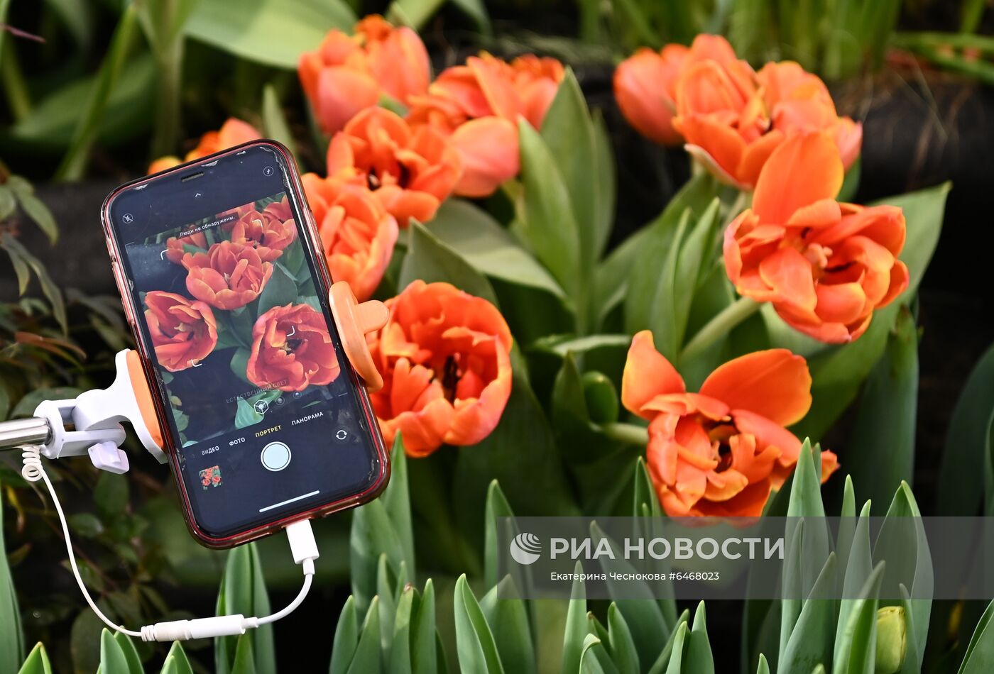 Открытие VII ежегодной выставки "Репетиция весны"