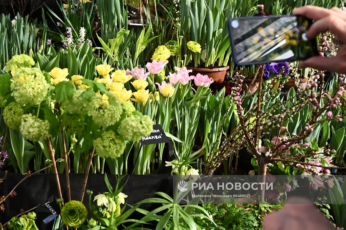 Открытие VII ежегодной выставки "Репетиция весны"