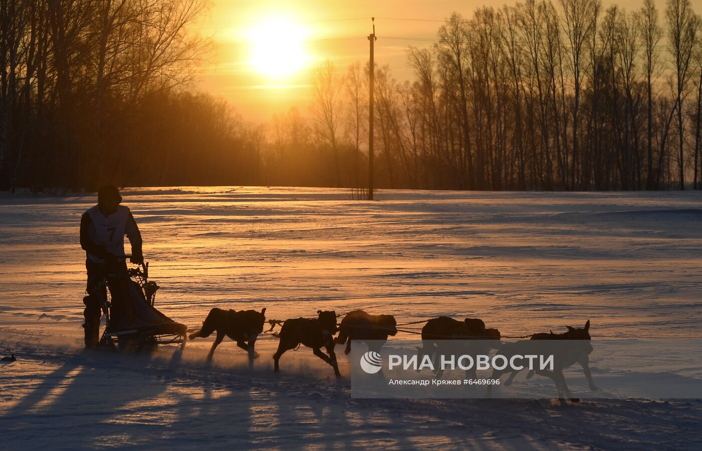 Гонка на собачьих упряжках "Сила Сибири - 2021"