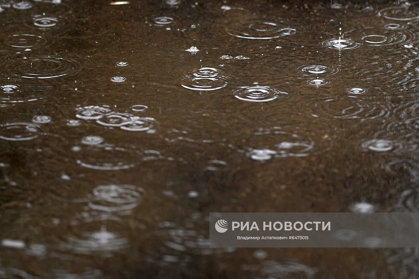 Теплая погода в Москве