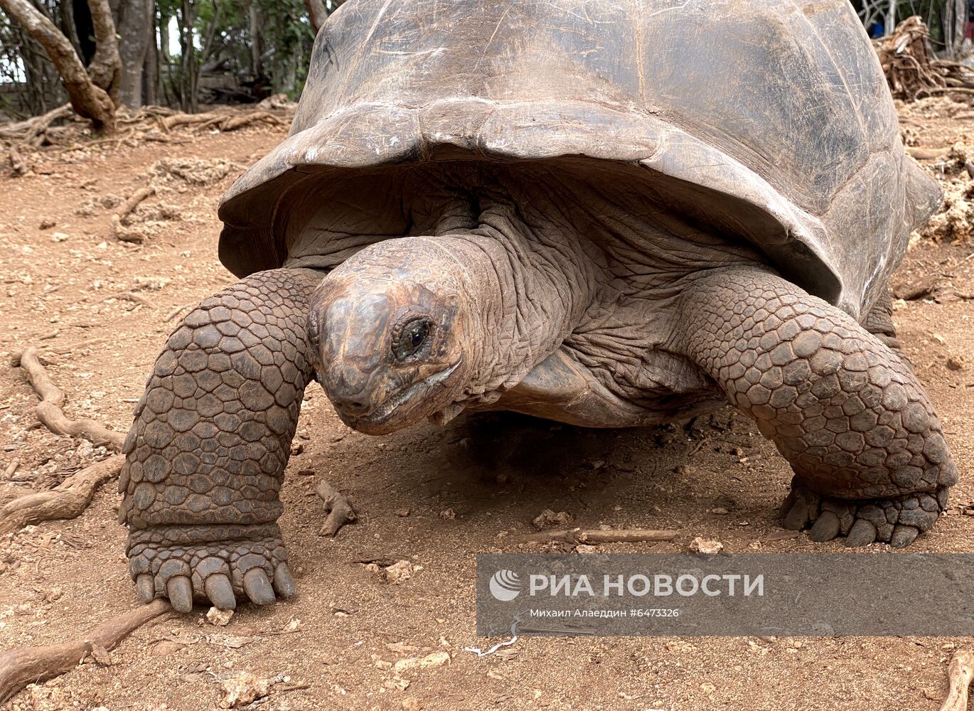 Остров Занзибар