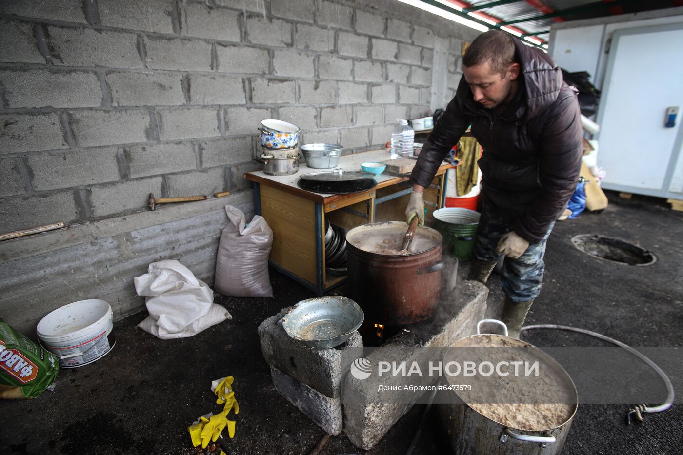 Отлов бездомных собак во Владикавказе