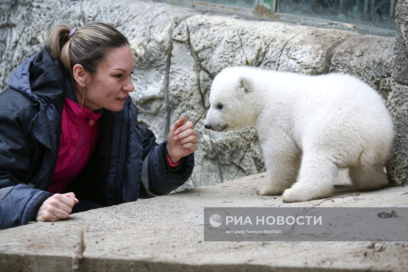 Белые медвежата в сафари-парке Геленджика