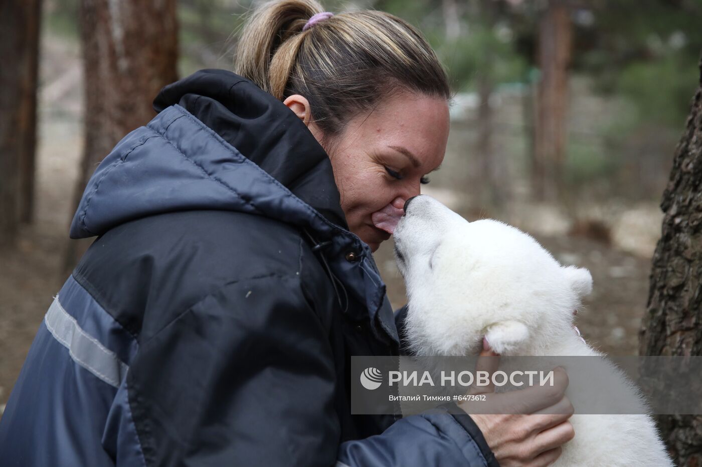 Белые медвежата в сафари-парке Геленджика
