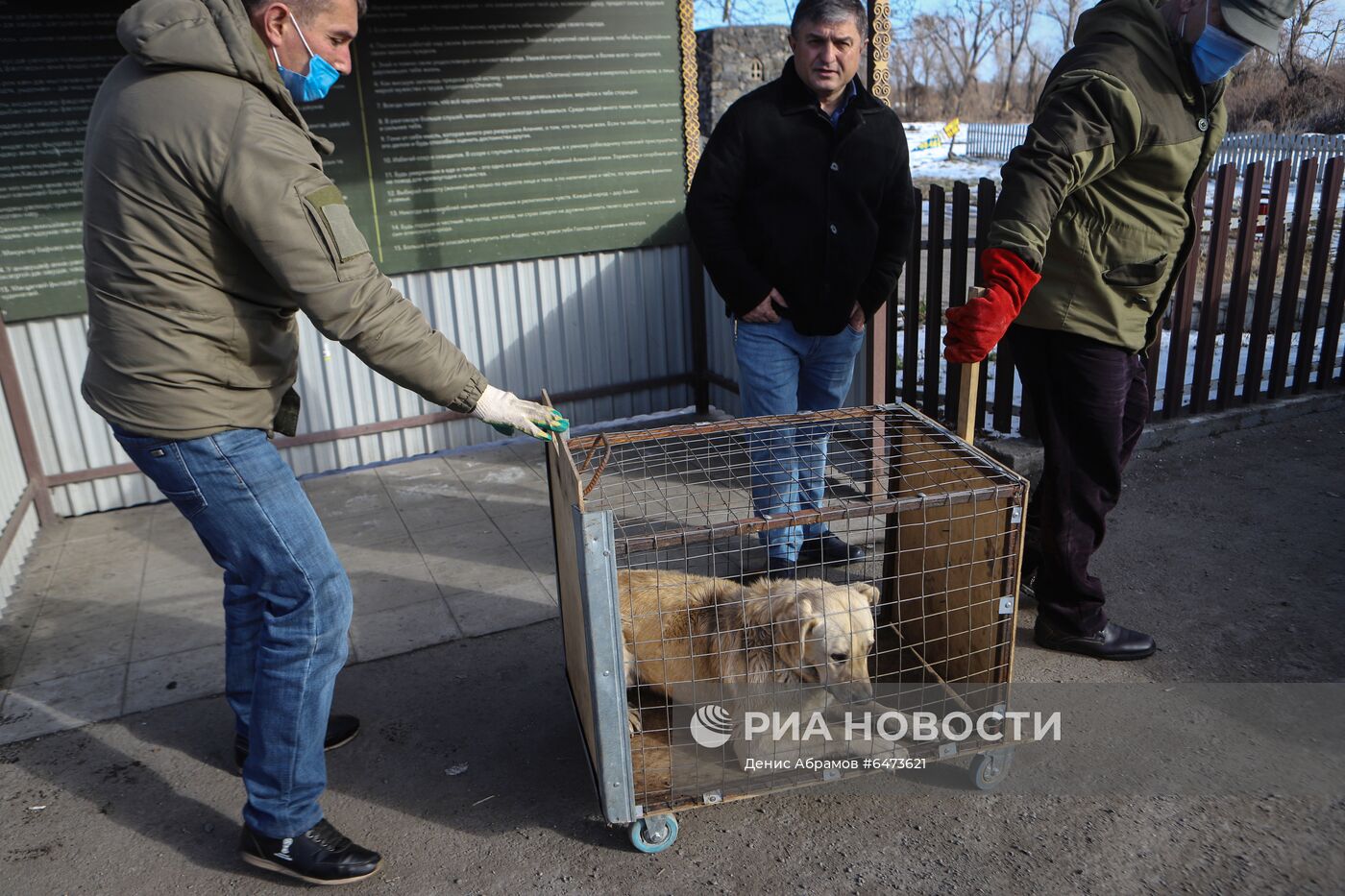 Отлов бездомных собак во Владикавказе