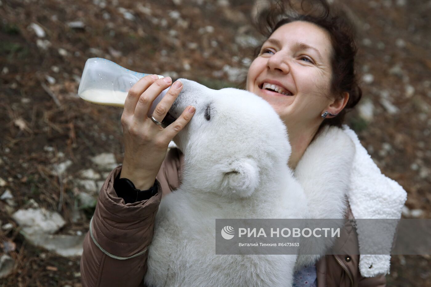 Белые медвежата в сафари-парке Геленджика